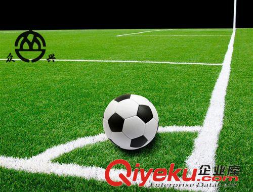 運動草 眾興單絲50mm足球場人造草坪草皮 運動草跑道草休閑草坪地毯