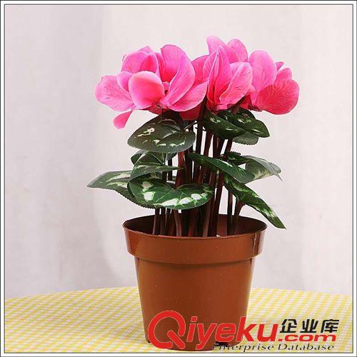 仿真植物 tj加密仙客來 慶典裝飾 大型場地鋪設(shè) 廠家直銷原始圖片2