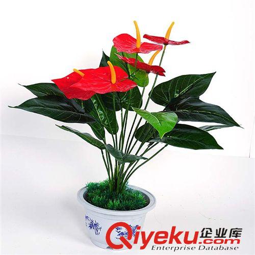仿真植物 tj仿真植物盆栽 假花裝飾小紅掌  送盆原始圖片2