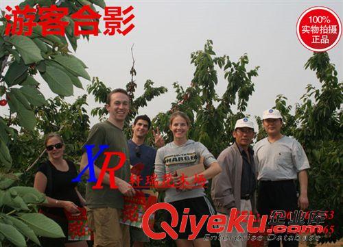 果樹(shù) 藍(lán)莓樹(shù)苗 優(yōu)質(zhì)藍(lán)莓苗 南方果樹(shù)苗 兔眼藍(lán)莓帶營(yíng)養(yǎng)缽發(fā)貨 確保成活