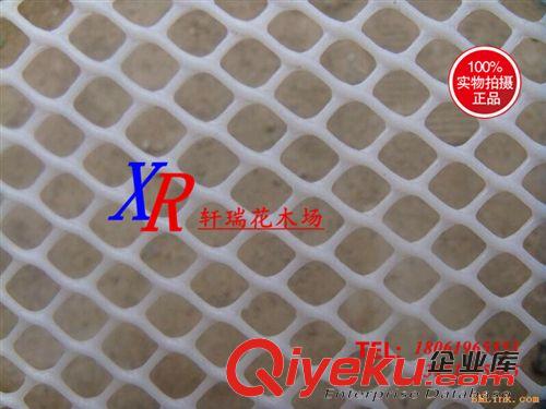 塑料網(wǎng) 批發(fā)家禽網(wǎng) 養(yǎng)殖網(wǎng) 養(yǎng)雞網(wǎng) 攔雞網(wǎng) 尼龍網(wǎng) 塑料網(wǎng) 防鳥網(wǎng)漁網(wǎng)圍網(wǎng)