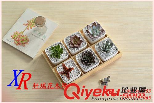 木質(zhì)工藝品 簡(jiǎn)約白色創(chuàng)意多肉陶瓷配實(shí)木底盒zakka三格花盆套裝 全網(wǎng)獨(dú)