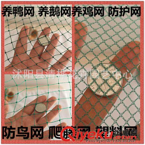 遮陽(yáng)網(wǎng) 批發(fā)遮陽(yáng)防曬網(wǎng)蔬菜大棚降溫專用兩針 3針遮陽(yáng)網(wǎng) 抗老化遮陽(yáng)率85%