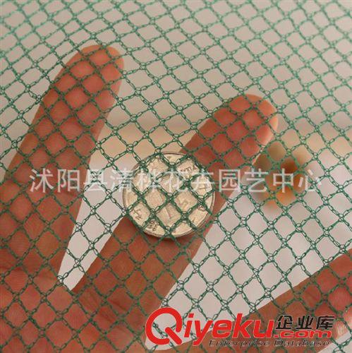 遮陽網(wǎng) 養(yǎng)鴨網(wǎng) 養(yǎng)鵝網(wǎng)養(yǎng)雞網(wǎng) 防護(hù)網(wǎng) 防鳥網(wǎng) 爬藤網(wǎng) 塑料網(wǎng) 漁網(wǎng)831原始圖片2