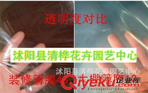 塑料薄膜   廠家批發(fā)塑料薄膜 耐高溫塑料薄膜 農(nóng)用薄膜 溫室大棚膜 無(wú)滴膜