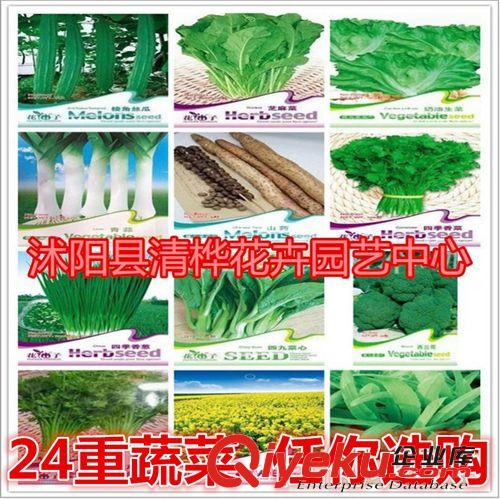 蔬菜種子 批發(fā)24種陽臺蔬菜播種 盆栽蔬菜種子  家庭套餐易種 原廠彩袋