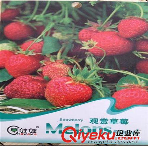 蔬菜種子 批發(fā)24種陽(yáng)臺(tái)蔬菜播種 盆栽蔬菜種子  家庭套餐易種 原廠彩袋