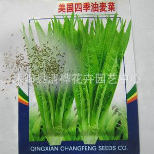 蔬菜種子 菠菜種子批發(fā) 蔬菜種子批發(fā) 陽臺菜園 廠家直銷菠菜種子綠色蔬菜