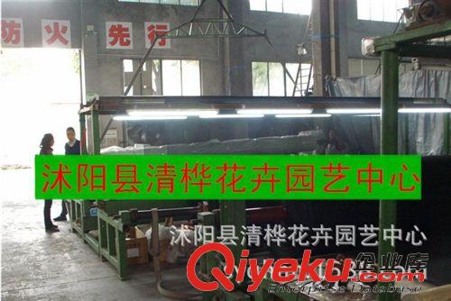 園藝工具 廠家直銷 6針 黑色遮陽網(wǎng) 防曬網(wǎng) pe網(wǎng) 遮陽率是95% 塑料網(wǎng) 農(nóng)用原始圖片3