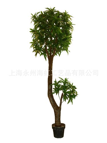 小葉、葵葉類 仿真百合竹 上海批發供應仿真植物仿真樹 【專業設計定做假樹】原始圖片3