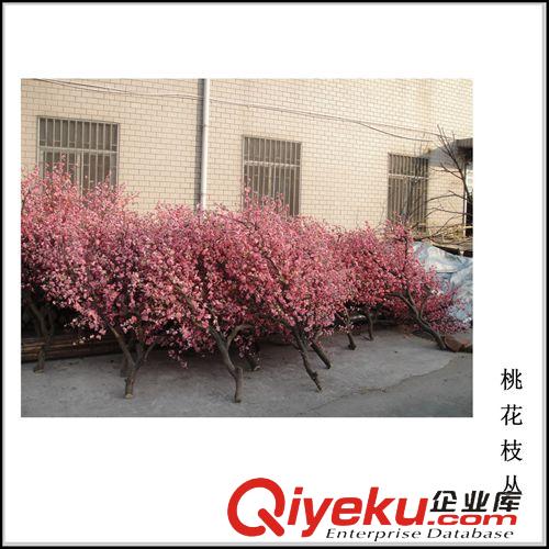 闊葉、花果樹類 廠家供應(yīng)高仿真桃花樹2M、梅花樹，高品質(zhì)假桃花樹，仿真櫻花樹原始圖片3