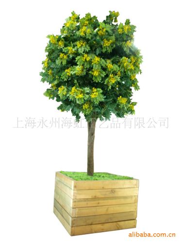 闊葉、花果樹(shù)類 廠家供應(yīng)gf真盆栽植物新款仿真黃花樹(shù)假黃花樹(shù)假樹(shù)假盆景原始圖片2