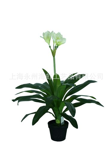 盆栽、小植物類 海虹仿真植物小型盆栽 90cm朱頂蘭盆栽 PU桿朱頂蘭 辦公裝飾盆景