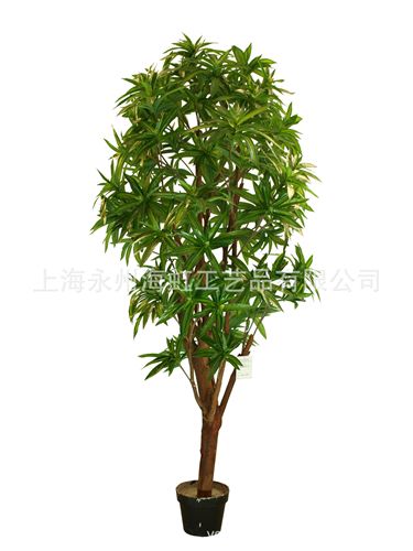 盆栽、小植物類 仿真百合竹 上海批發(fā)供應仿真植物仿真樹 【專業(yè)設計定做假樹】原始圖片2