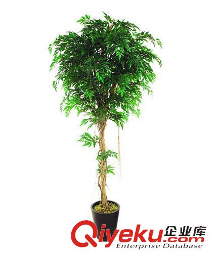 盆栽、小植物類 海虹室內外優質仿真荔枝樹仿真植物 異形仿真荔枝樹 裝飾美化樹