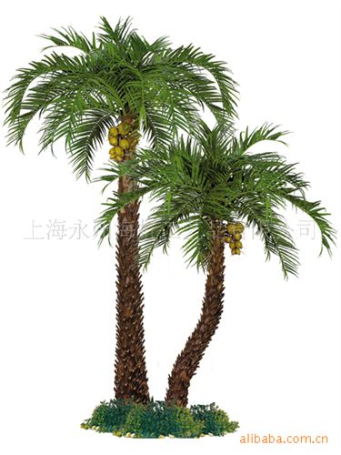 工程案例 廠家直銷(xiāo)新款老人葵椰樹(shù)組酒店大堂擺放裝飾人造樹(shù)仿真椰樹(shù)制作