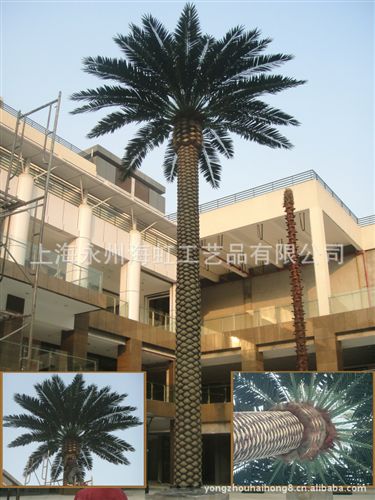工程案例 定做仿真加納利海棗樹，加拿利海藻樹，假海藻樹，仿真樹假樹原始圖片3