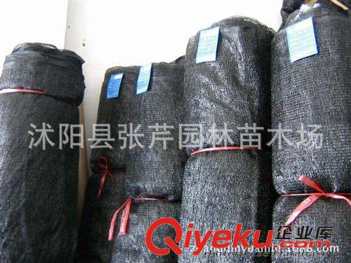 爆款果樹 蔬菜大棚降溫專用三針遮陽網(wǎng) 抗老化保三年85%遮陽防曬網(wǎng)原始圖片2