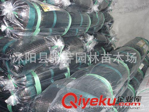 爆款果樹 蔬菜大棚降溫專用三針遮陽網(wǎng) 抗老化保三年85%遮陽防曬網(wǎng)原始圖片3