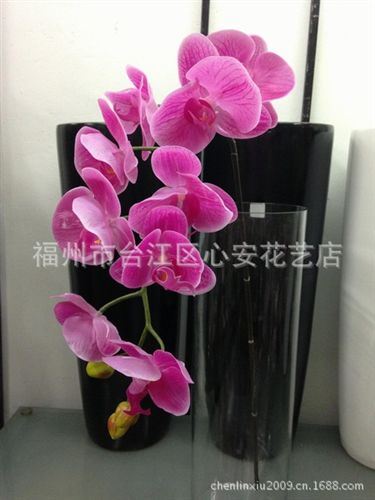 熱銷 【小額批發(fā)】供應(yīng)仿真花 絹花 手感花 膠片手感蝴蝶蘭 仿真蝴蝶蘭