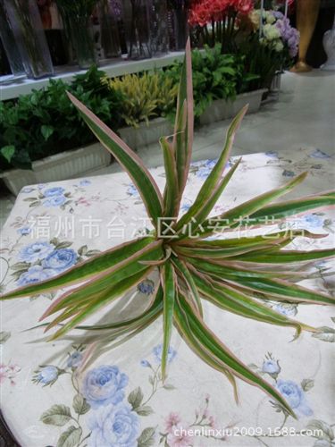 熱銷(xiāo) gf過(guò)膠葉子  植物草墻裝飾材料批發(fā)  小蘭花草  白邊仿真蘭花葉