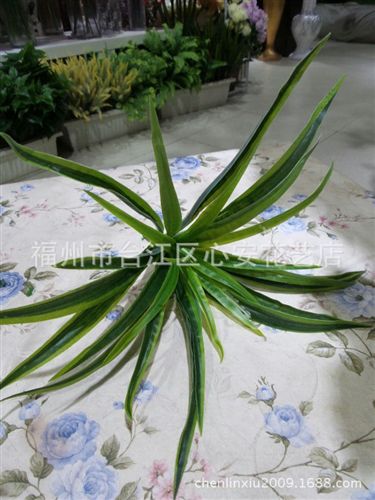 熱銷(xiāo) gf過(guò)膠葉子  植物草墻裝飾材料批發(fā)  小蘭花草  白邊仿真蘭花葉