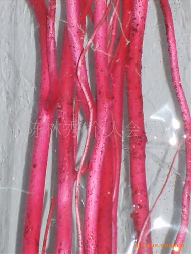 干花 仿真花批發(fā) 供應(yīng)假花 人造花 干花-干支-云龍柳-噴金龍柳