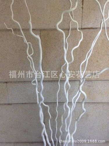 干花 【小額批發(fā)】供應(yīng)干花 干枝 龍柳 龍桑 白色 婚慶花藝