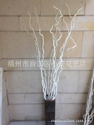 干花 【小額批發(fā)】供應(yīng)干花 干枝 龍柳 龍桑 白色 婚慶花藝