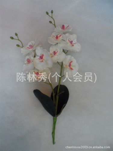 絹花 【小額批發(fā)】供應(yīng)仿真花假花絹花 蝴蝶蘭 兩叉帶葉短枝蝴蝶蘭