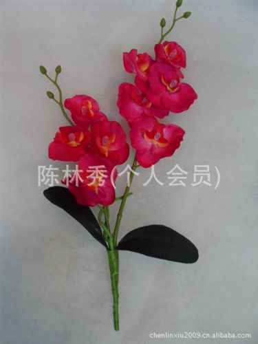 絹花 【小額批發(fā)】供應(yīng)仿真花假花絹花 蝴蝶蘭 兩叉帶葉短枝蝴蝶蘭