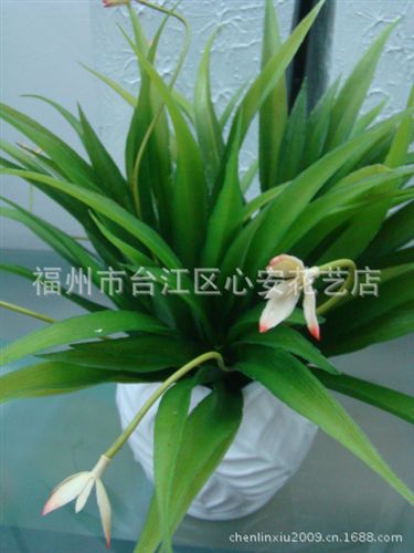 草类 【小额批发】供应仿真花 仿真草 塑料水草 26片兰花叶草