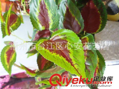 草类 仿真绿色植物批发  紫苏 万年青  手感过胶叶子  工程景观叶