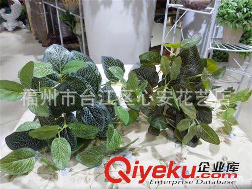 草类 仿真绿植墙材料批发 手感过胶橡塑布 仿真网纹叶 绿萝叶 猪心叶