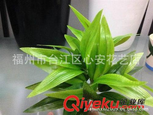草類 【批發供應仿真綠色植物】塑料假草 搭配裝飾仿真 富貴竹原始圖片2