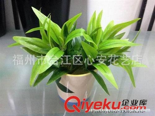 草類 【批發供應仿真綠色植物】塑料假草 搭配裝飾仿真 富貴竹原始圖片3