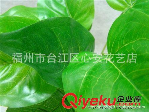 草類 仿真紅掌葉批發供應 園林綠植裝飾 景觀設計  小綠植 塑料葉原始圖片2