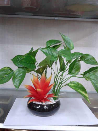 草類 【仿真花小額批發(fā)】供應(yīng)仿真花-假花-塑料花 綠植仿真水草-小盆景