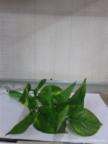 草類 【仿真花小額批發(fā)】供應(yīng)仿真花-假花-塑料花 綠植仿真水草-小盆景