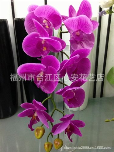 新品 【小額批發(fā)】供應(yīng)仿真花 絹花 手感花 膠片手感蝴蝶蘭 仿真蝴蝶蘭