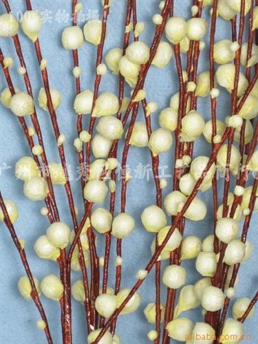仿真花，絹花 AB0001011-銀柳 絹布 落地瓶花 仿真 假干花 仿真植物