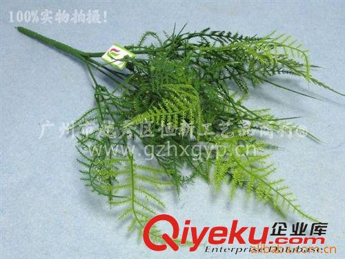 塑料水草系列 A9956-文竹C934 仿真花【厂家直销】 优质 塑料花草 仿真草