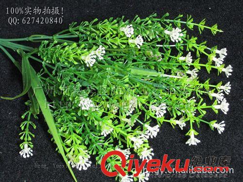 塑料水草系列 供應(yīng)B7005-5叉九里香 優(yōu)質(zhì)塑料草 廠家直供  仿真 塑料草