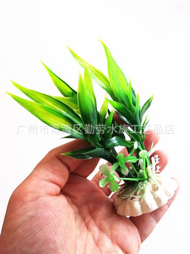 水族新品上市 广州仿真水草批发 鱼缸造景仿真植物 观赏塑料短款水草外销款