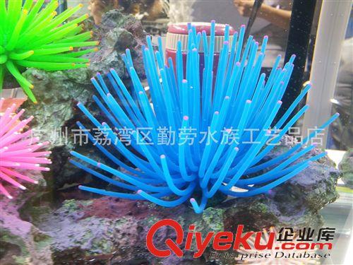 軟體珊瑚 魚(yú)缸用品擺景/活海膽/水族裝飾品/炫彩珊瑚/軟體珊瑚/仿真海膽球