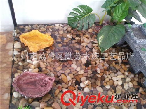 龜魚用品 樹脂工藝品外貿(mào)出口樹脂烏龜、蜥蜴爬行動物食槽/晾龜臺 樹脂食槽原始圖片3