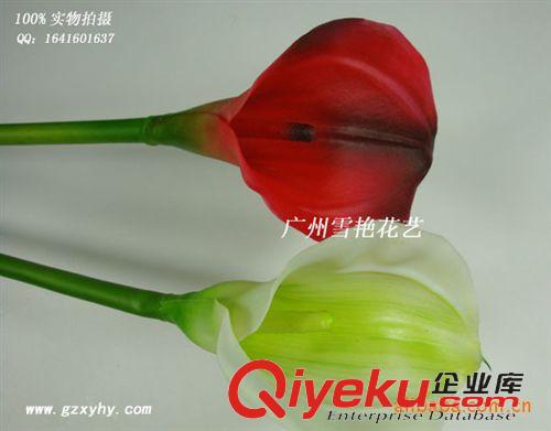 仿真單支花系列 熱銷 801大馬蹄蓮 【廠價直銷】 仿真手感馬蹄蓮 仿真植物花原始圖片3