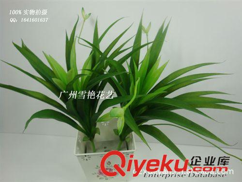 仿真花-塑膠小把花 供應(yīng)塑料花 仿真花 花 B6-36飄雪草 金錢(qián)草 仿真草 香草 金魚(yú)草