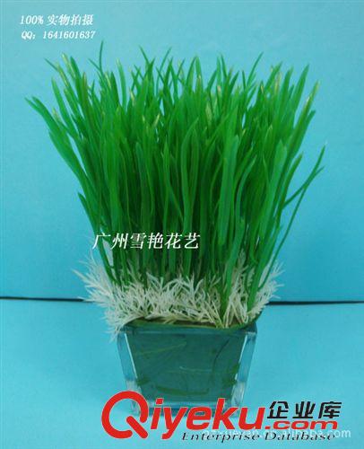 仿真花-塑膠小把花 批發(fā)供應(yīng)仿真小玉蘭草 塑料花 小吊蘭草 酒店裝飾花