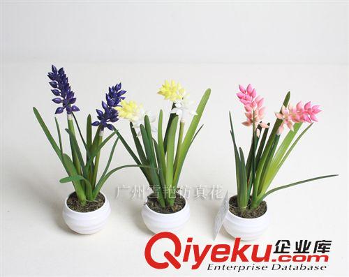 仿真花-花藝盆景系列 廠家直銷 風(fēng)信子 多肉植物 植毛仙人掌 沙漠植物 植毛動物 小盆景